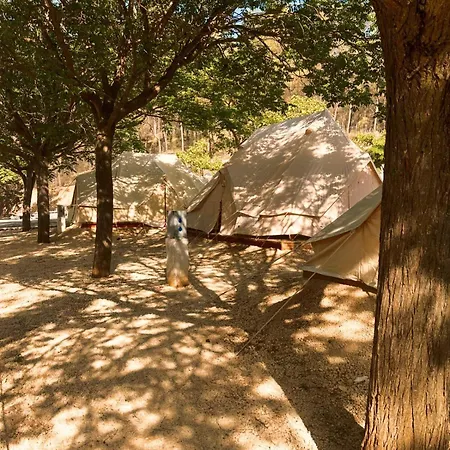 Centro De Ocio Alua Bungalows Camping Rafting Benameji * Benameji
